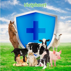 A New Era of Veterinary Medicine and Animal Health in Vietnam