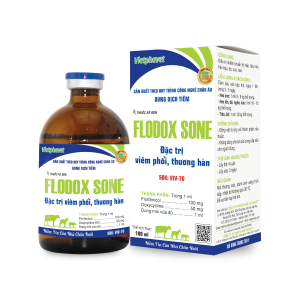 Flodox Sone_100ml_tv