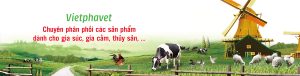 Nhu Cầu Tìm Kiếm Nhà Cung Cấp Thuốc Thú Y Đang Mở Ra Cơ Hội Mới Cho Doanh Nghiệp Việt Nam