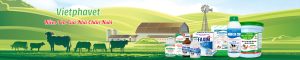 Bí Quyết Chọn Nhà Cung Cấp