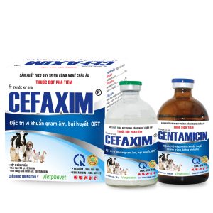 Cefaxim_thương_2