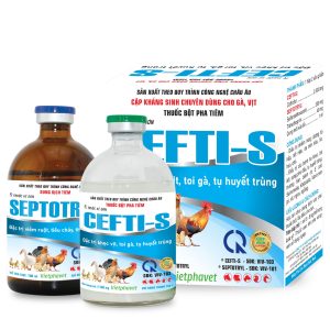 Cefti-s_thương