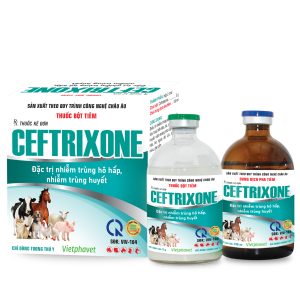 Ceftrixone_thương_2