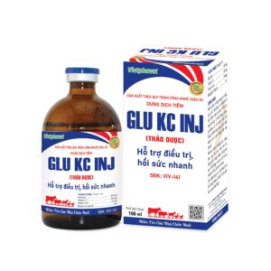 Glu Kc Inj_100ml_tv