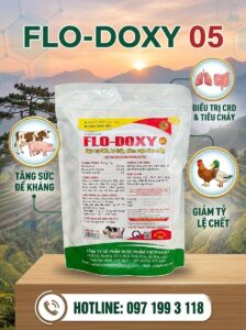 FLO-DOXY 05