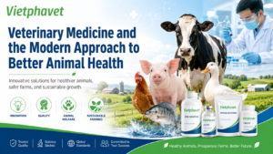 Veterinary Medicine and the Modern Approach to Better Animal Health