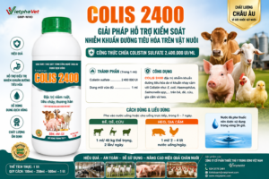 OLIS 2400 giải pháp hỗ trợ kiểm soát nhiễm khuẩn đường tiêu hóa trên vật nuôi