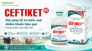 CEFTIKET (05) Giải pháp hỗ trợ kiểm soát nhiễm khuẩn hiệu quả trong chăn nuôi hiện đại
