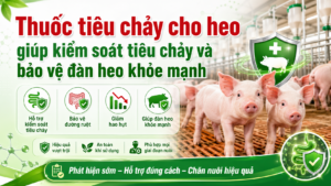Thuốc tiêu chảy cho heo giúp kiểm soát tiêu chảy và bảo vệ đàn heo khỏe mạnh