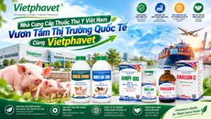 Nhà Cung Cấp Thuốc Thú Y Việt Nam Vươn Tầm Thị Trường Quốc Tế Cùng Vietphavet