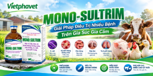 MONO-SULTRIM Giải Pháp Điều Trị Nhiều Bệnh Trên Gia Súc Gia Cầm